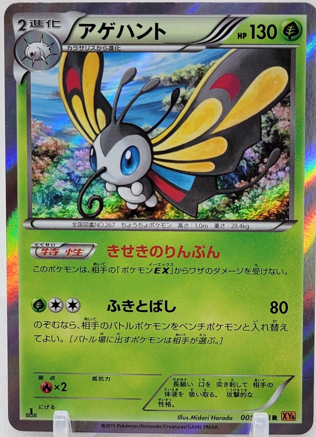 Beautifly [1st-Edition]